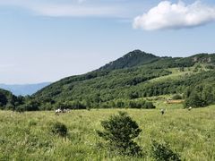 -白草畔自然风景区