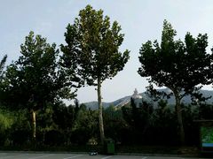 -龙口南山旅游景区