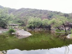 -灵溪风景区