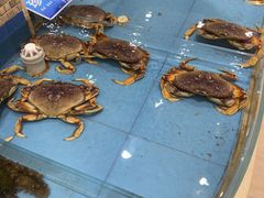 -双井轩(双井店)