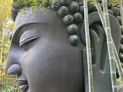 -杭州植物园