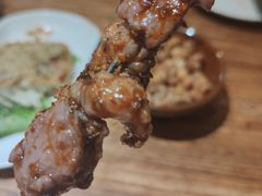 -福苗小骆驼烧烤(莲湖路店)