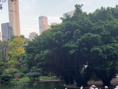 -九龙公园
