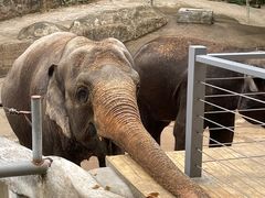 -深圳野生动物园