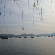 -西湖外事游船(花港观鱼码头)