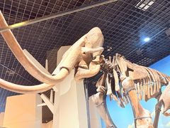 -国家自然博物馆