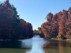 -上海海湾国家森林公园