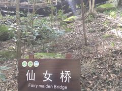 -燕子河大峡谷天坑仙境