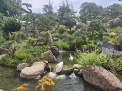 -罗红摄影艺术馆