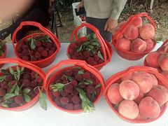 -塘栖枇杷特色园区