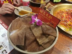 -蜀九香火锅(九眼桥店)