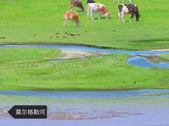 -呼伦贝尔大草原