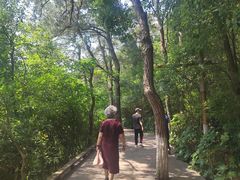 -天目湖山水园