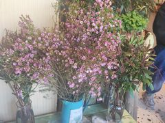 -萤火虫咖啡(后海店)