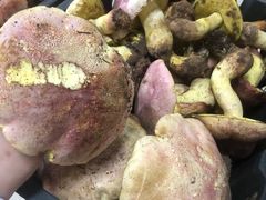-双喜农庄·菌香园(安居家园店)
