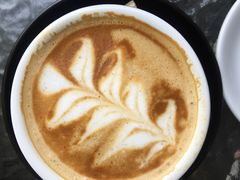 -Fern Forest Cafe