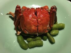 -扬州狮子楼·非遗淮扬菜(东关街店)
