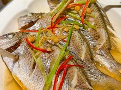 -金成潮菜博物馆(海珠湿地店)