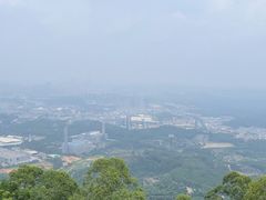 -水濂山森林公园