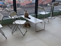 -怪兽屋·羊驼·猫咖·狗咖(俊华广场店)