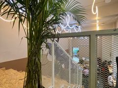 -樹夏shhha(越秀店)