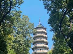 -灵谷景区