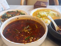 -陈麻婆豆腐总店