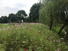 -梁鸿国家湿地公园