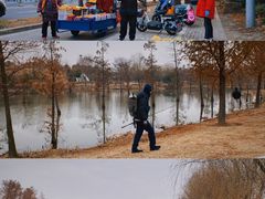 -上海长兴岛郊野公园