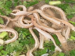 -熊氏牛羊杂粉(龙眼井总店)