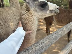 -鄂尔多斯野生动物园