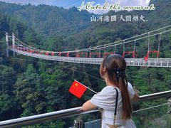 -九龙江国家森林公园