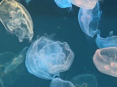 -多彩贵州城极地海洋世界