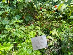 -广州神农草堂中医药博物馆