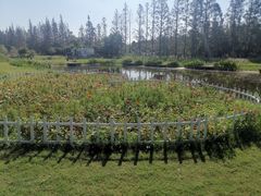 -前小桔亲子创意农场·草莓采摘·露营烧烤