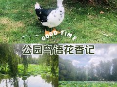 -翠湖公园