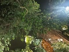 -小隐足道·按摩·主题SPA馆(西红门店)