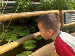 -国家植物园南园