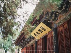 -洛阳白马寺