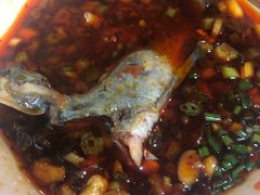 -蜀滋香鲜鱼美蛙火锅(339店)