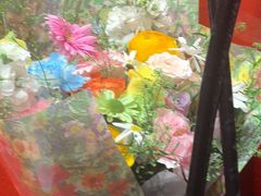 -麺屋猪一(宝安华强广场店)