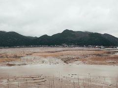 -北岐滩涂
