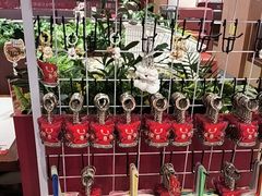 -辣可可·小炒黄牛肉(望京凯德MALL店)