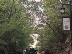 -北山公园