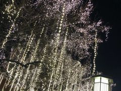 -大雁塔北广场音乐喷泉