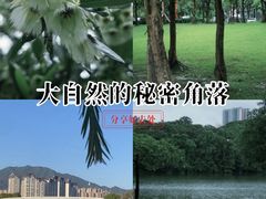 -飞来湖湿地公园