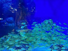 -成都浩海立方海洋公园