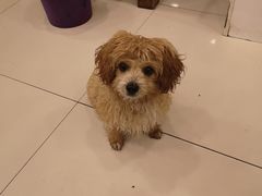 -老猎户炭火锅羊汤(万达店)