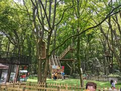 -WeLope紫金山探险公园