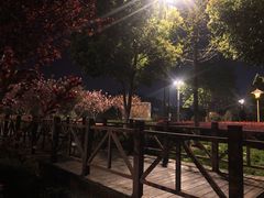 -滨湖塘西河公园
